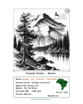 Fazenda Pinhal - Brazil