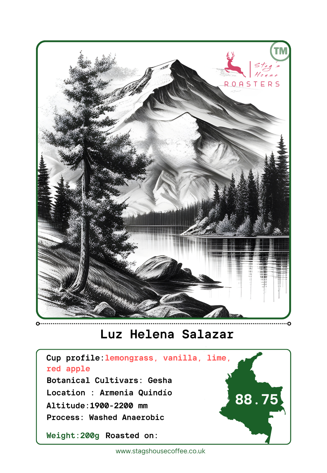 Luz Helena Salazar