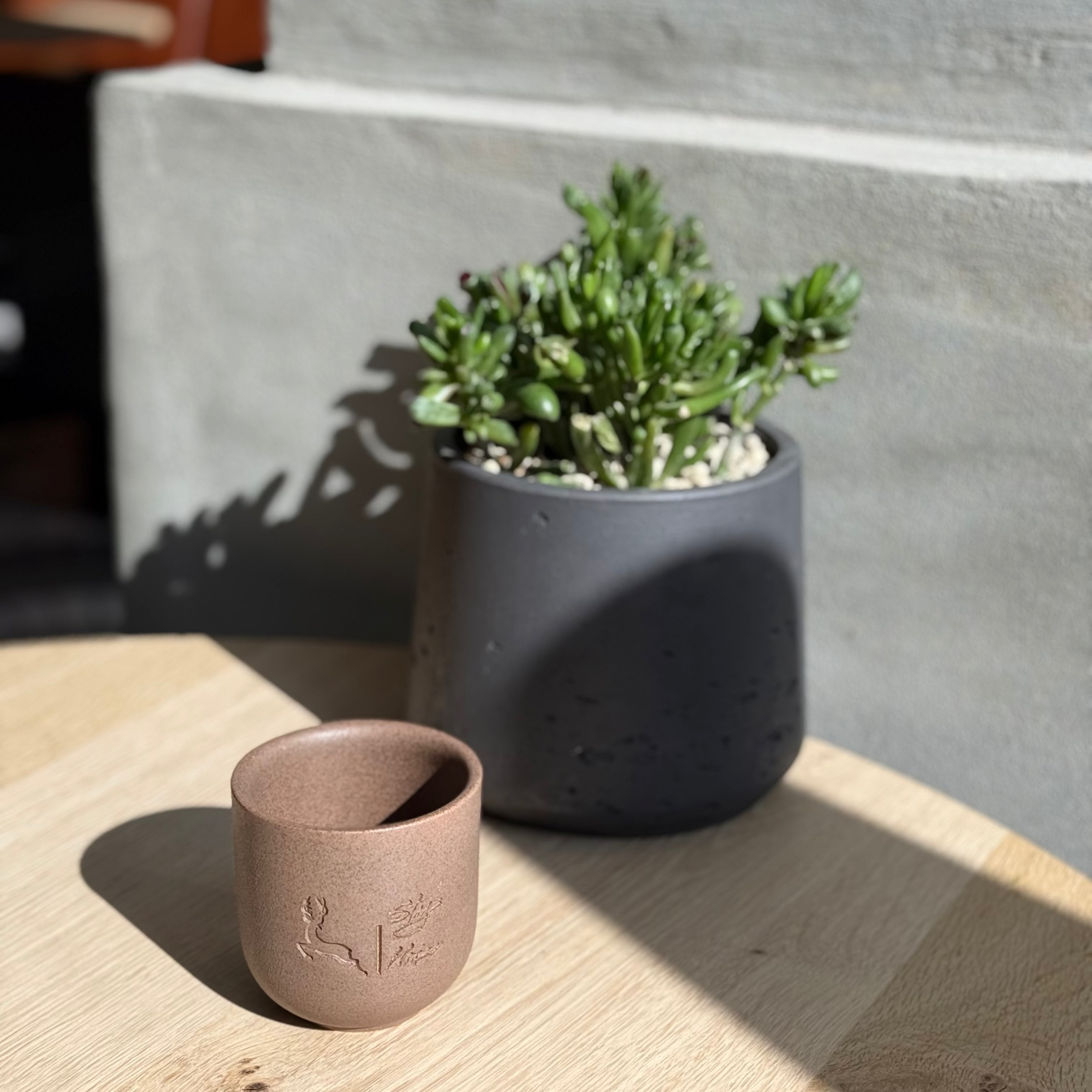 Espresso Cup - 8Oz