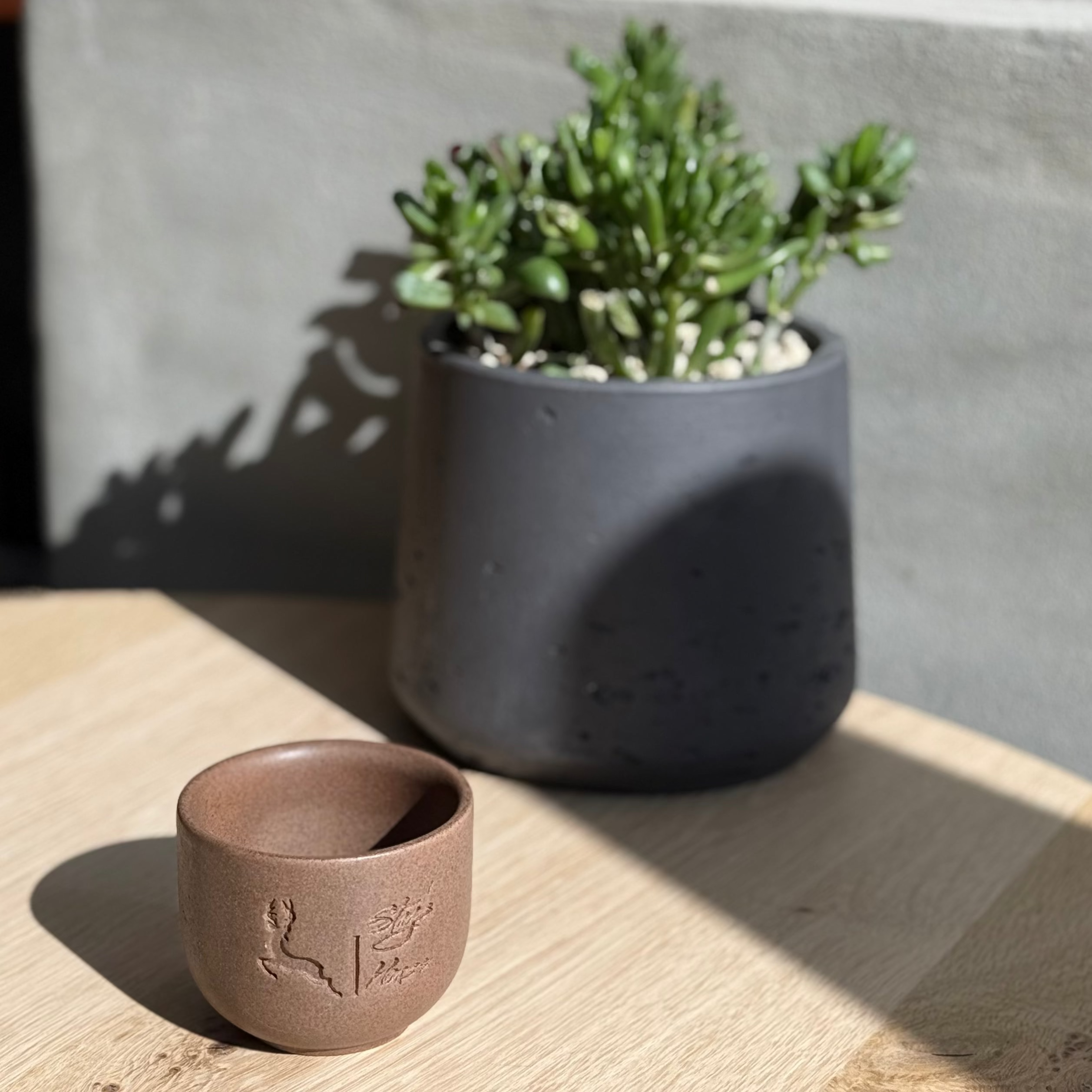 Espresso Cup - 6Oz