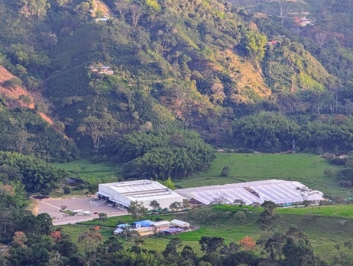 Colombia – Burbujas - Huila Wet Mill Project